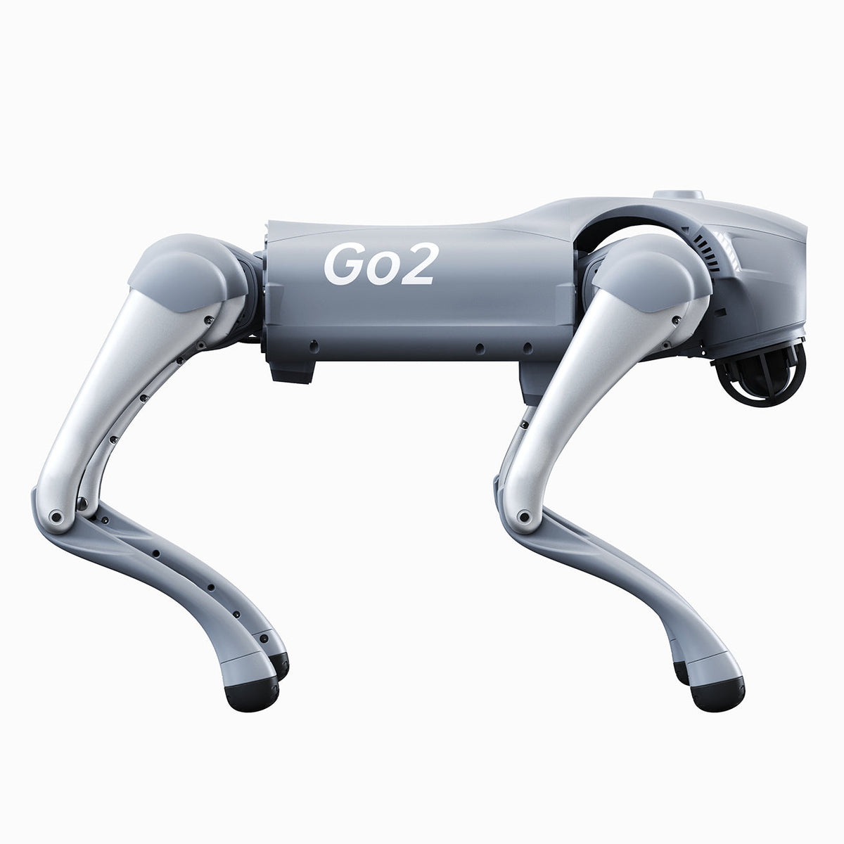 Unitree Go2  X ( No controller)