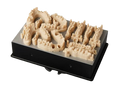 Resine Dentali
