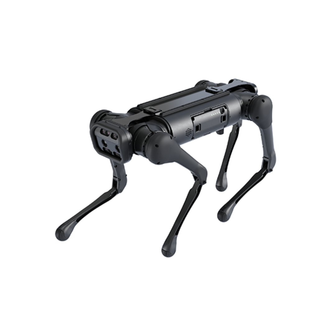 Aliengo