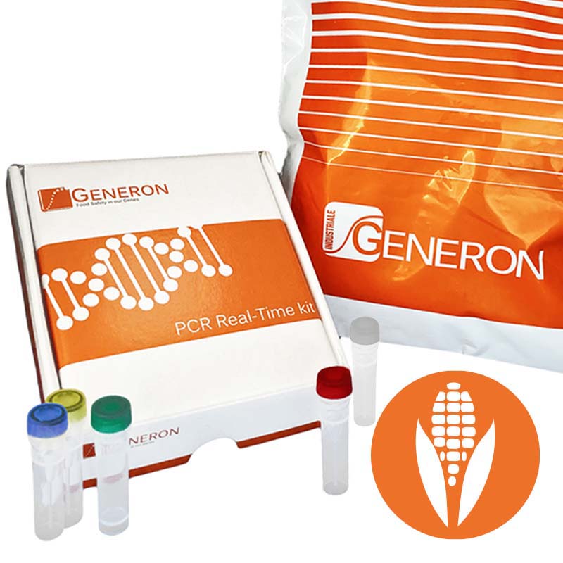MODIfinder Mais OGM MZIR098 (UID SYN-00098-3) DNA di riferimento quantificato