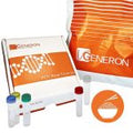 DNA di riferimento quantificato per riso non geneticamente modificato.