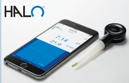 Elettrodo pH e temperatura Bluetooth per alimenti, con giunzione aperta e punta conica.