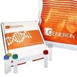 Kit RT-qPCR 3-Plex per la ricerca di norovirus I/II e controllo interno.