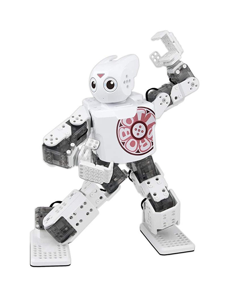 ROBOTIS MINI